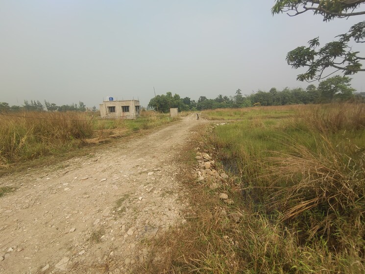 undefined, joka  2880 Sq.Ft. Plot In Joka Kolkata 8071308