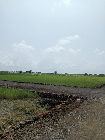Plot Area in  Plot at Katangi – for Sale