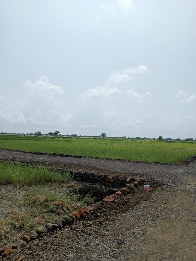 undefined, katangi  1000 Sq.Ft. Plot In Katangi Jabalpur 8071372