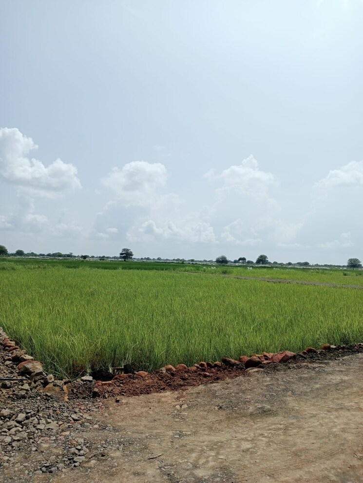 undefined, katangi  1000 Sq.Ft. Plot In Katangi Jabalpur 8071372