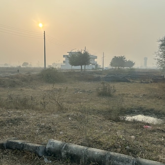 Plot For Resale in TDI City Kundli Sector 61 Sonipat  8071408