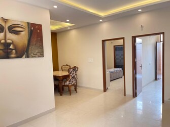 2 BHK Apartment For Resale in Sector 116 Mohali  8071527