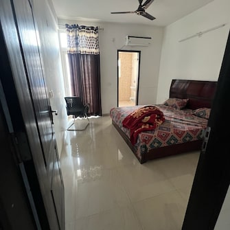 3 BHK Builder Floor For Rent in Omaxe Ambrosia Mullanpur Chandigarh  8071905