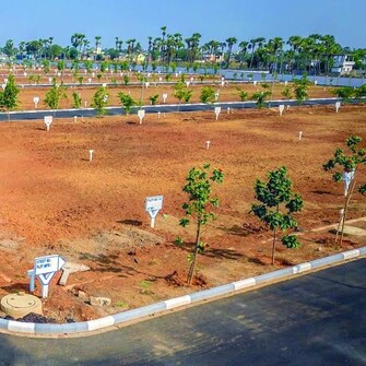 Plot For Resale in Amaravathi Guntur  8072099