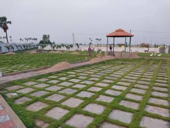 Plot For Resale in Amaravathi Guntur  8072099