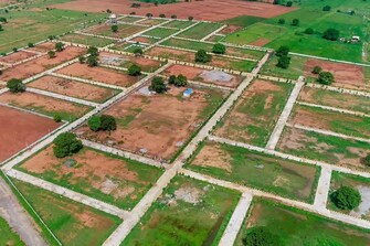 Plot For Resale in Amaravathi Guntur  8072099