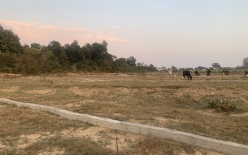 Land For Rent in Bahlolpur