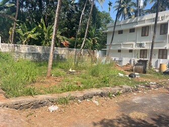 Plot For Resale in Muthuvara Thrissur  8072167