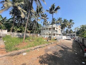 Plot For Resale in Muthuvara Thrissur  8072167