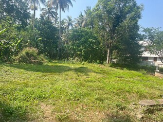 Plot For Resale in Peramangalam Thrissur  8072189