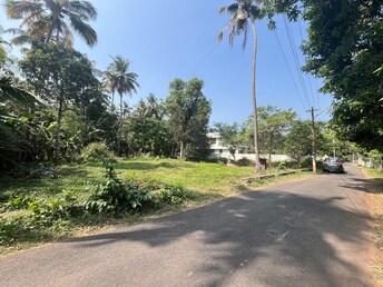 Plot For Resale in Peramangalam Thrissur  8072189