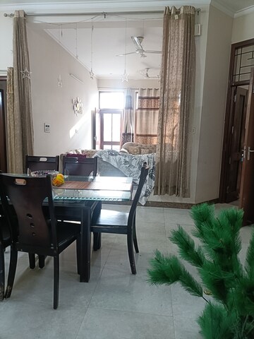 Kitchen in 3 BHK Builder Floor at Ansal Plaza Sector-23, Sector 23 – for Rent