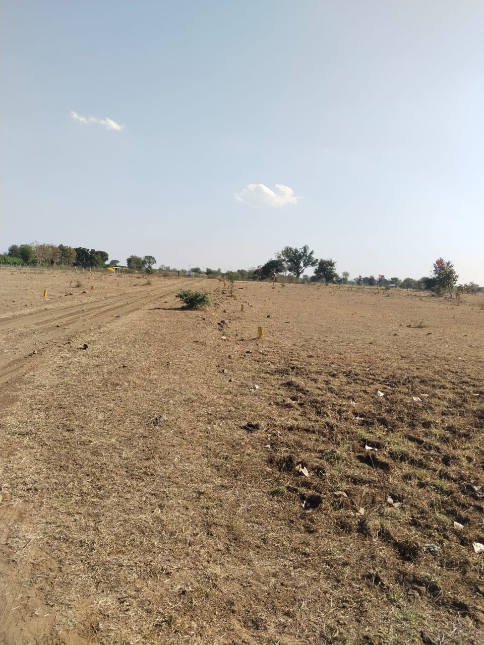 Plot For Sale in Kashvi Group Of Companies