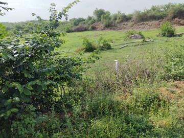  Plot – Garden View at Ibrahimpatnam - for Sale
