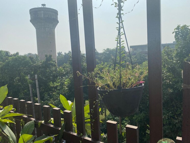 Garden, ashoka enclave 3 Bedroom 250 Sq.Yd. Builder Floor In Ashoka Enclave Faridabad 8072850