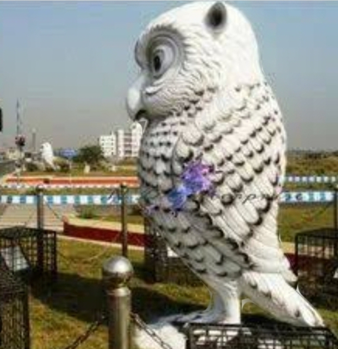 3 BHK + Study Room Apartment For Sale in Mig 3bhk 