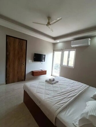 3 BHK Apartment For Rent in DLF Oakwood Estate Dlf Phase ii Gurgaon  8072888