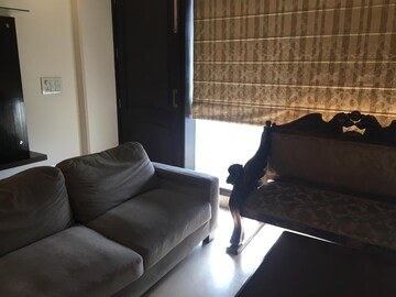 Living Room in 3 BHK Builder Floor at East Of Kailash – for Rent