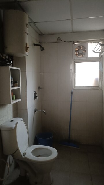 2 BHK Apartment For Rent in Amrapali Silicon City, Sector 76