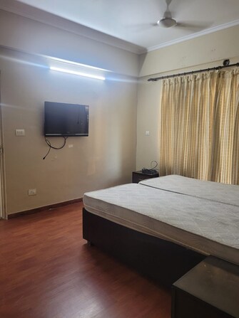 2 BHK Apartment For Rent in Greater Mohali Mohali  8073131