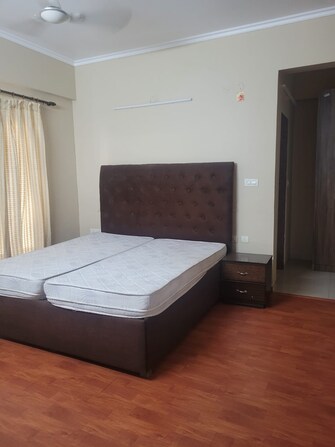 2 BHK Apartment For Rent in Greater Mohali Mohali  8073131