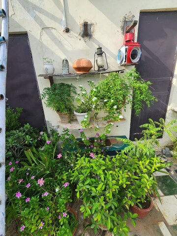 1 BHK Builder Floor – Exterior View View at Greater Kailash I - for Rent