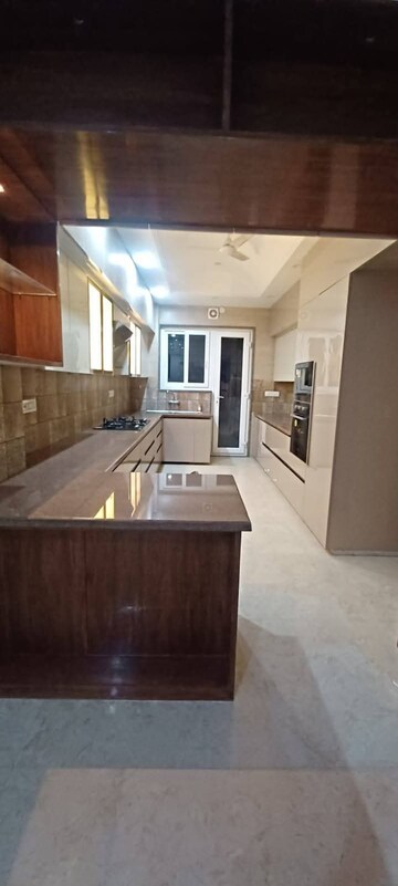 Kitchen in 5 BHK Builder Floor at Sector 39 – for Rent