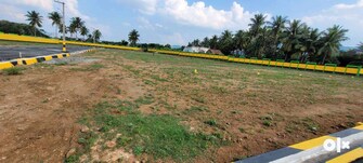 Plot For Resale in Jangaon Hyderabad  8065579