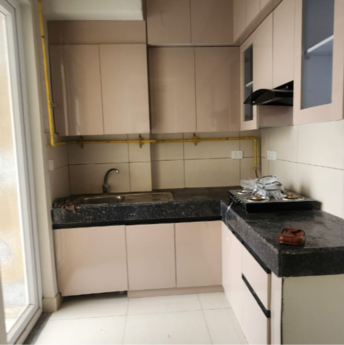 3 BHK Builder Floor For Rent in Tata Eureka Park Sector 150 Noida  8074162