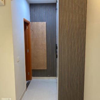 3 BHK Apartment For Rent in Tata Eureka Park Sector 150 Noida  8074192