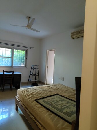 3 BHK Apartment For Rent in Halasuru Bangalore  8074638