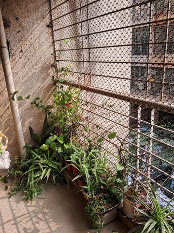 2 BHK Apartment – Exterior View View at Arihant Sparsh Vashi, Sector 26 - for Rent