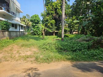 Plot For Resale in Chembukkavu Thrissur  8074730