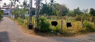 Plot For Resale in Chembukkavu Thrissur  8074730