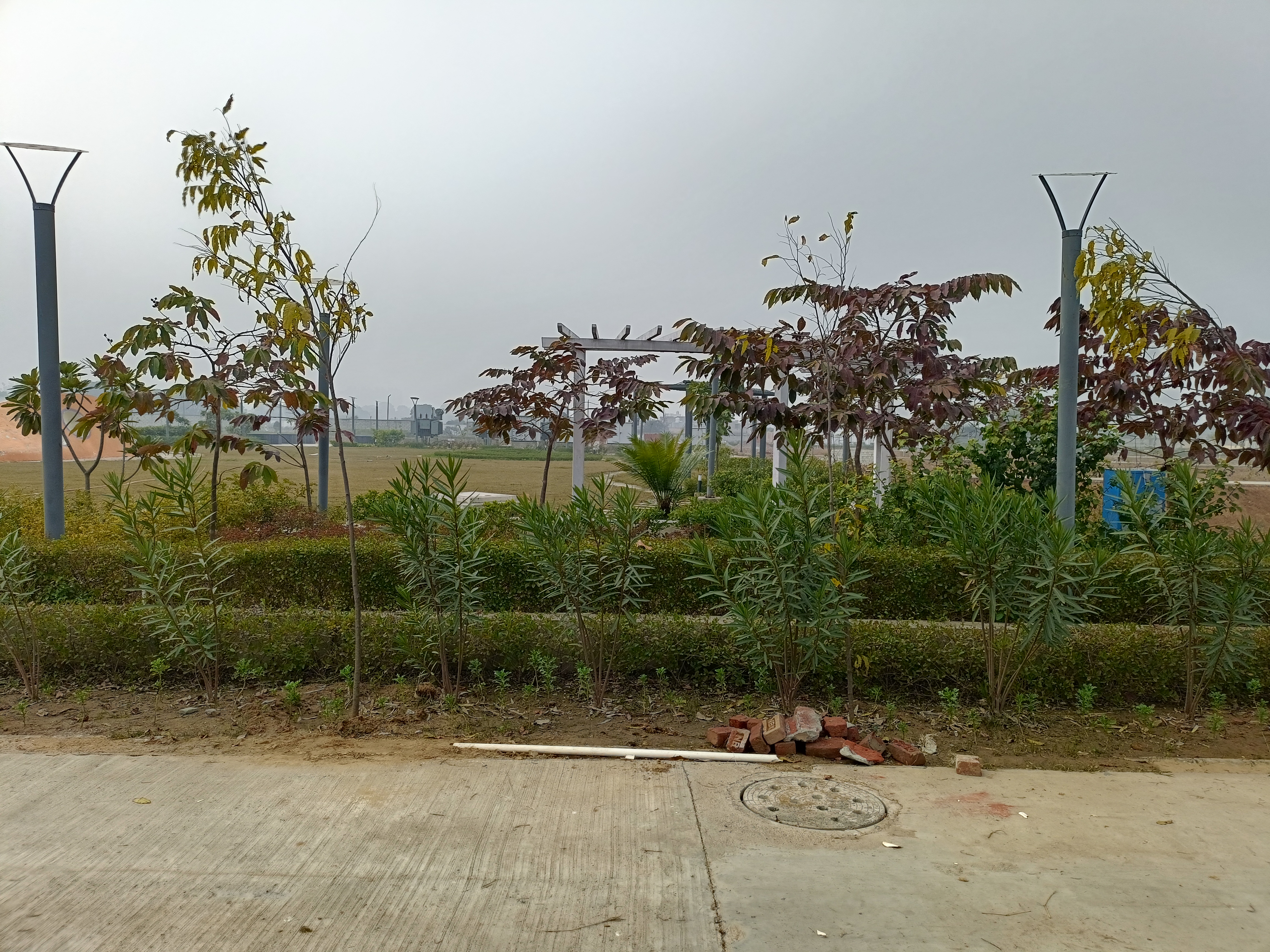 Plot For Sale in Amolik Aster Woods
