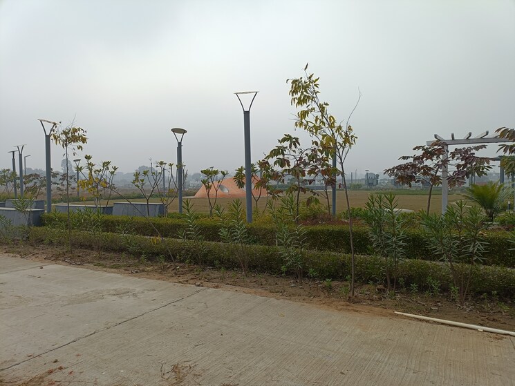 undefined, amolik-aster-woods  155 Sq.Yd. Plot In Sector 98 Faridabad 8074965