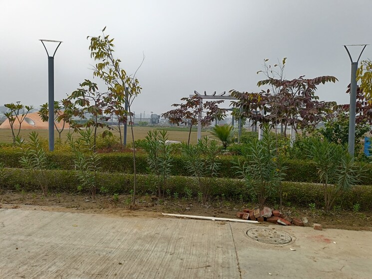 undefined, amolik-aster-woods  155 Sq.Yd. Plot In Sector 98 Faridabad 8074965