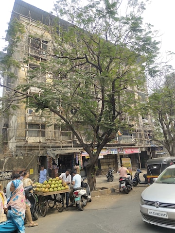 1 BHK Apartment For Rent in Bharati Park Mira Road Thane  8074964