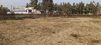 Plot For Resale in Mubarakpur Lucknow  8075635