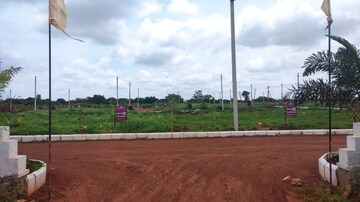 Plot For Resale in Neemsboro Rajadhani Kohir Hyderabad  8075115