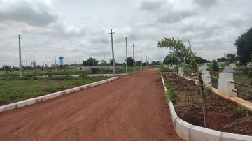 Plot Area in  Plot at Neemsboro Rajadhani, Kohir – for Sale
