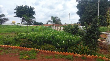  Plot – Exterior View View at Neemsboro Rajadhani, Kohir - for Sale