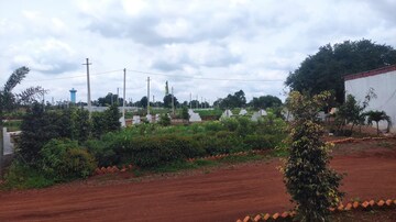 Plot Area in  Plot at Neemsboro Rajadhani, Kohir – for Sale