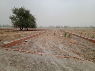 Plot For Resale in Ayodhya Faizabad  8075203