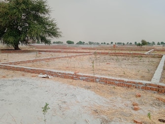 Plot For Resale in Ayodhya Faizabad  8075203