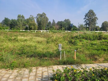 Plot For Resale in Adarsh Savana Devanahalli Bangalore  8075258