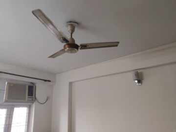 Furnished Amenities in 3 BHK Apartment at Tulip White, Sector 69 – for Rent