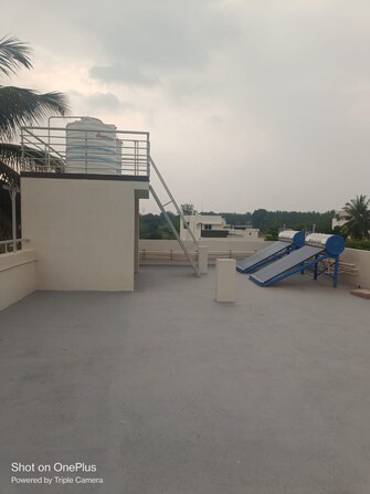 4 BHK Independent House For Resale in Sriramapura Mysore  8075910