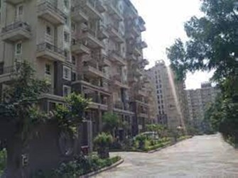 1.5 BHK Apartment For Rent in Nyati Eternity 2 CHS Undri Pune  8075972