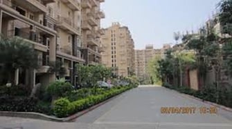 1.5 BHK Apartment For Rent in Nyati Eternity 2 CHS Undri Pune  8075972